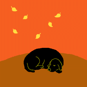 Black Lab in the Autumn Leaves Gif Animation created by Naomi Ochiai from Japan