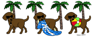 Cool Chocolate Labradors Cartoon Gifts