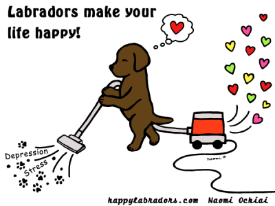 Funny and Cute Chocolate Labrador Cartoon