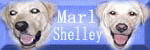 大型犬ワンコ服Marl&Shelley