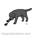 Black Labrador Friendly Digital Drawing created by Naomi Ochiai from Japan