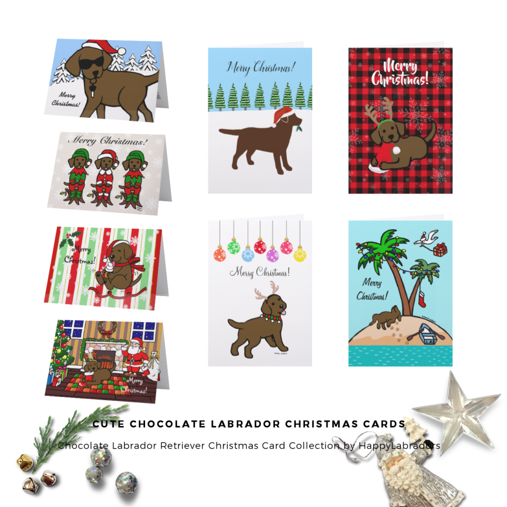 Cute Chocolate Labrador Christmas Cards by HappyLabradors