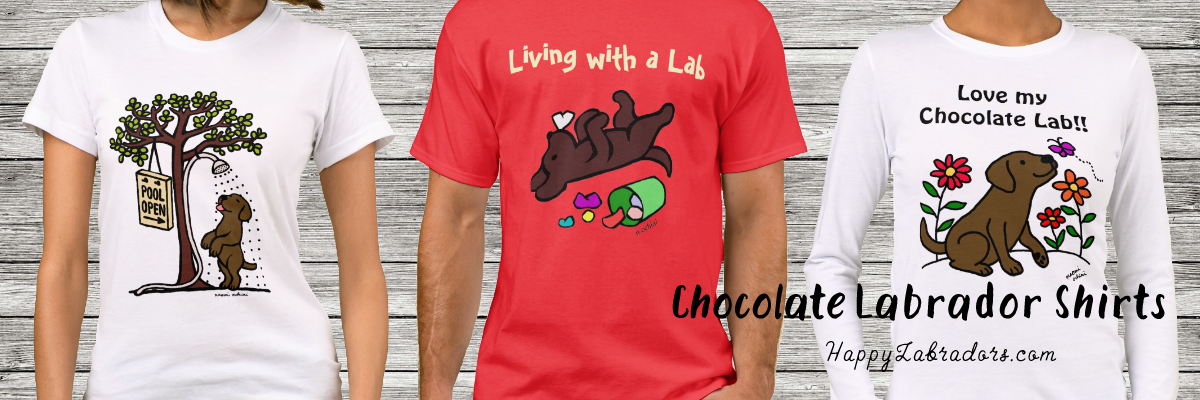 Popular Chocolate Labrador Tshirts Collection