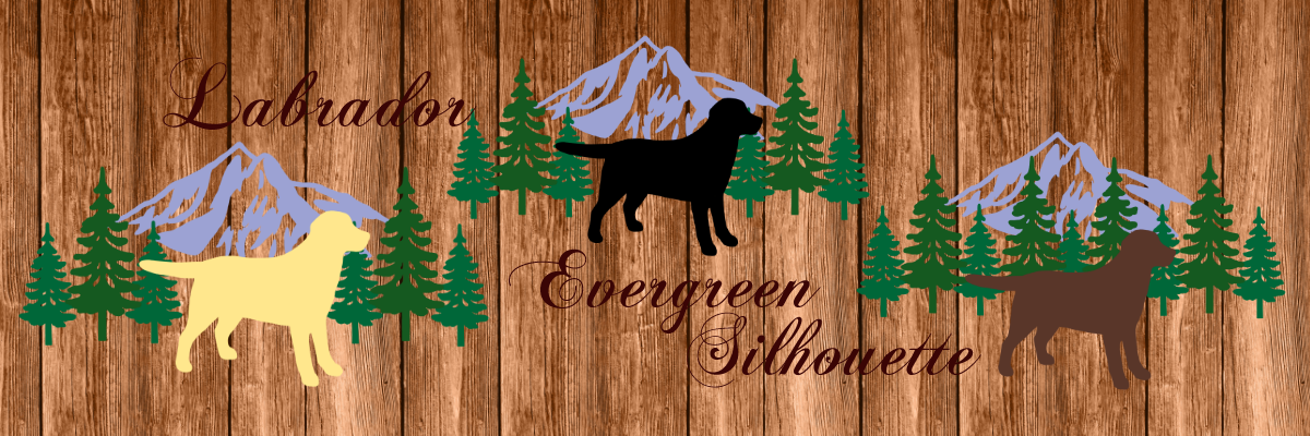 Labrador Evergreen T-shirts by HappyLabradors in Amazon