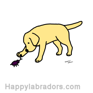 Yellow Labrador Friendly Digital Drawing created by Naomi Ochiai from Japan